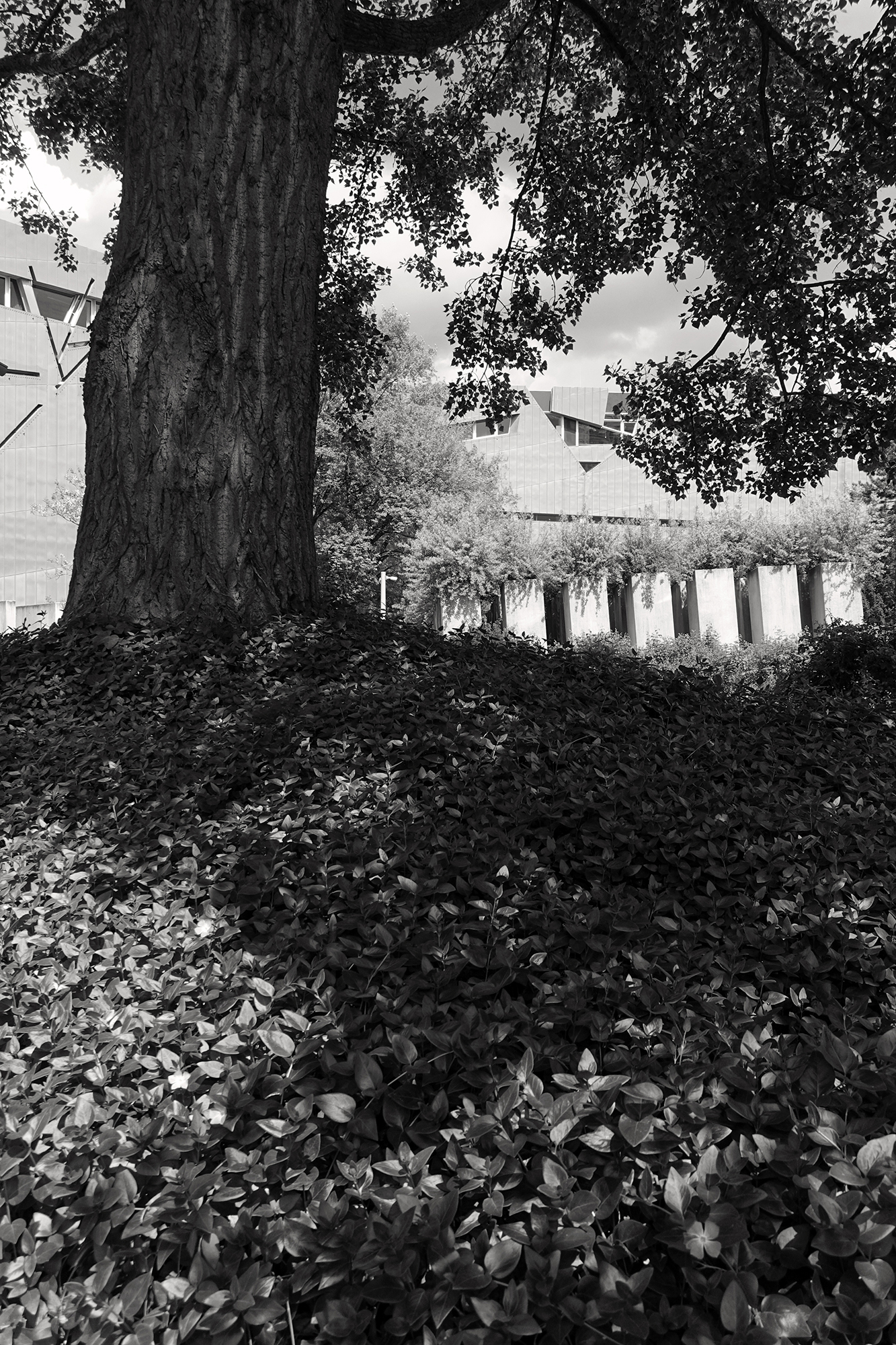 Christoph Radke, Berlin, Lindenstraße, Jüdisches Museum, 2021